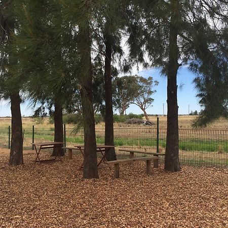 Aussie Cabins Dubbo Exterior photo