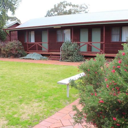 Aussie Cabins Dubbo Room photo