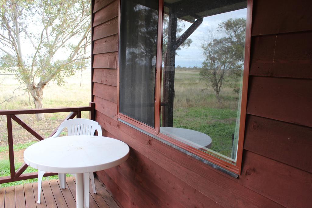 Aussie Cabins Dubbo Room photo